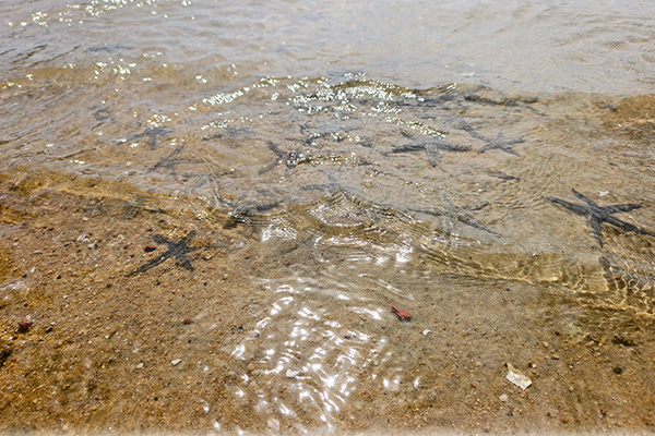 「海南户外」2026三亚亲子冬令营(6天)冬天度假唯一的正确的打开方式! 「海南户外」2026三亚亲子冬令营(6天)冬天度假唯一的正确的打开方式!