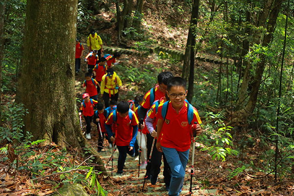 「广东户外」2025广州山野课堂-木牛线周末营（1天）赠送两根登山杖