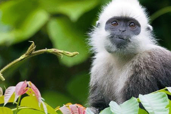 「广西研学」2026崇左自然历史探索冬令营（6天）化身动物科考员，触摸和思考