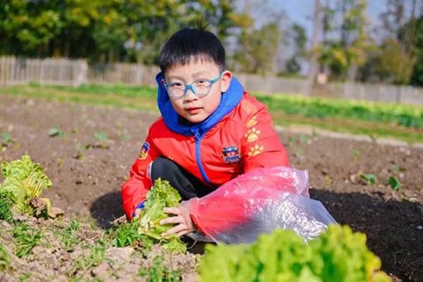 「湖北心智」2026武汉生活技能周末营（1天）学会一道菜