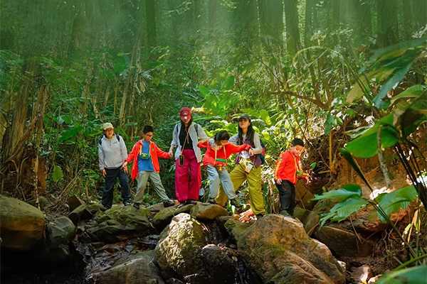 「云南研学」2026西双版纳雨林探索冬令营（6天）北纬21度的暖冬秘境
