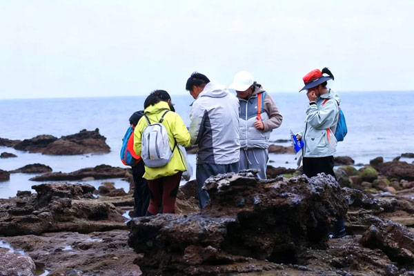 「广西研学」2026北海涠洲岛冬令营（5天）一座海岛的诞生 探火山·护珊瑚·寻鲸迹