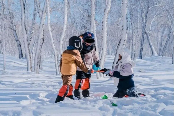 「黑龙江研学」2026小兴安岭独立冬令营（5天）林海雪原我的家