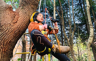 「上海户外」2020国庆攀树技能训练营，像人猿泰山那样飞跃丛林！