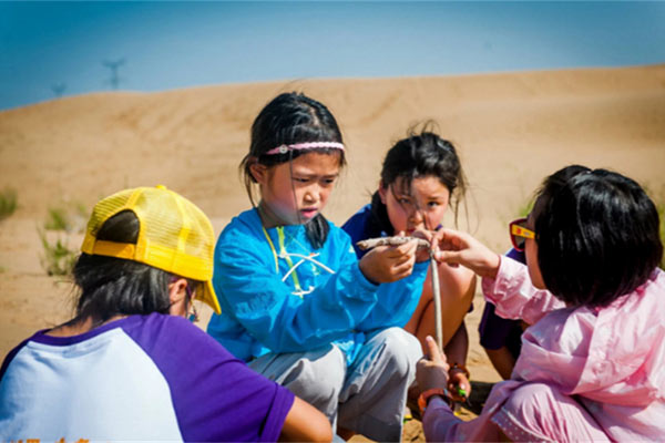 「内蒙古研学」2023内蒙古游学营（7天）一场草原与沙漠的深度体验