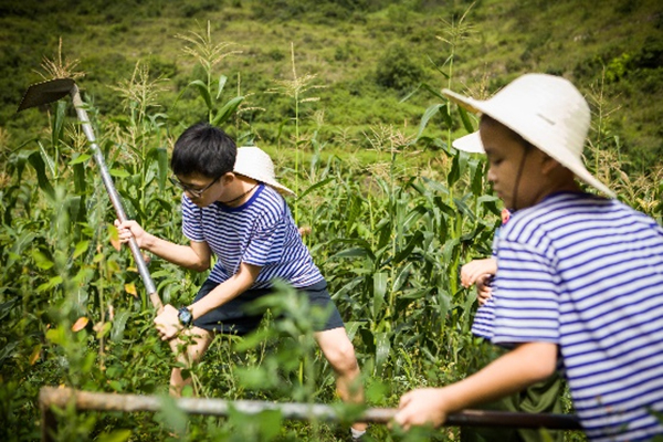 贵州军事夏令营哪家评价好，三大口碑机构推荐！
