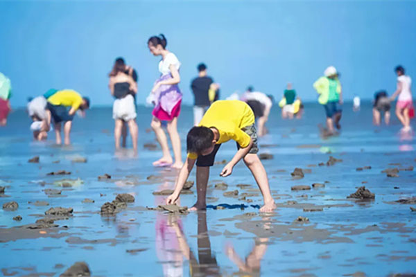 「广西研学」2026北海追鲸幻梦之旅亲子冬令营（6天）深入赶海私藏地