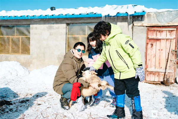 「新疆滑雪」2026阿勒泰冰雪世界冬令营（7天）感受游牧民族的适应