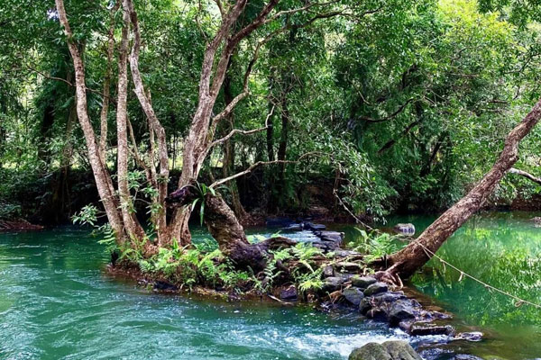 「广西研学」2026崇左涠洲岛冬令营（6天）北海追鲸 | 寻白头叶猴，德天瀑布界河竹筏