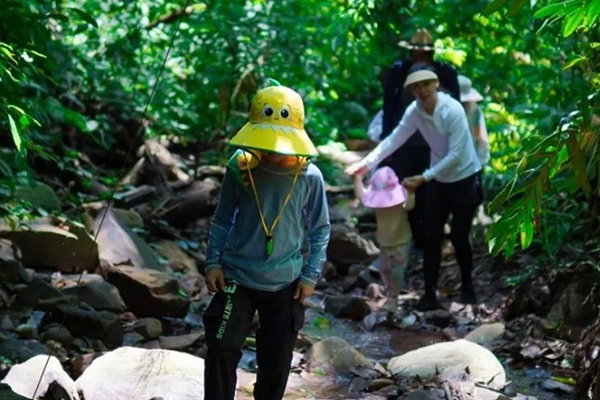 「云南研学」2023西双版纳热带雨林秘境探险夏令营（6天）探索热带雨林·遇见奇妙生物