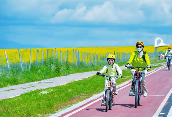 青海骑行夏令营有哪些?推荐看完