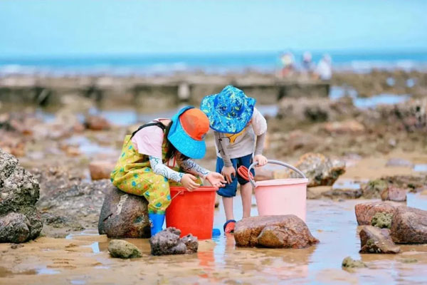 「河北亲子」2025北戴河海趣牧歌夏令营（3天）踏浪逐沙，牧海拾贝趣无穷