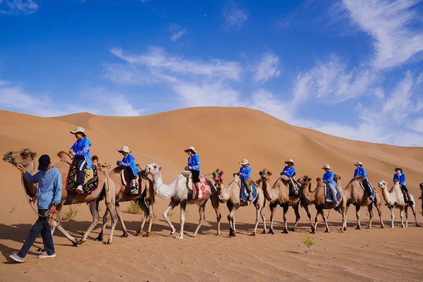 「甘肃研学」2024英雄少年·西北挑战夏令营（6天）巴丹吉林沙漠骑骆驼，山丹军马穿越草原