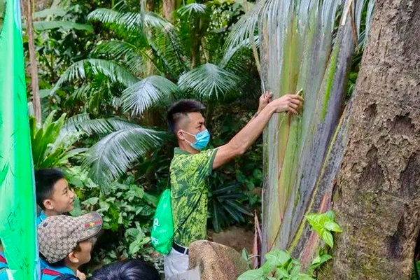 「海南野外」2024三亚雨林卫士STEM夏令营（6天）勇者无畏，挑战中国北纬18度仅有的热带雨林