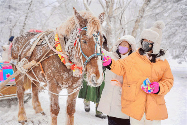 「黑龙江研学」2025哈尔滨冰雪梦境亲子冬令营（6天）亚布力滑雪 玩转3大冰雪圣地