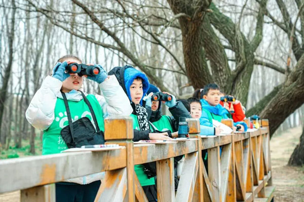 「湖北学能」2026武汉五感捕捉·写作日间走读冬令营（5天）让孩子打开五感之门，写出“会呼吸的作文”
