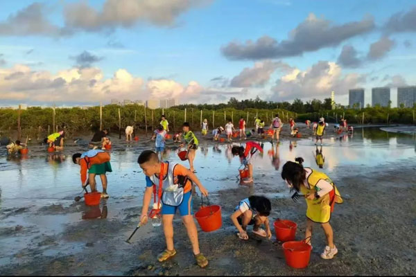 「广西亲子」2026北海·追鲸逐浪冬令营(5天)踏浪赶海、出海追鲸、火山科考,逃离寒冬… 「广西亲子」2026北海·追鲸逐浪冬令营(5天)踏浪赶海、出海追鲸、火山科考,逃离寒冬…