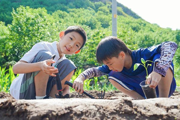 小学生参加乡村夏令营，营地推荐！