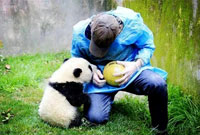 暑假四川大熊猫保护山村支教义工夏令营