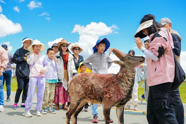 「四川研学」2025秘境川西亲子国庆假日营（6天）与熊猫面对面、睡进嘉绒藏家、拍星际大片